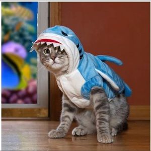 Pet Shark Costume